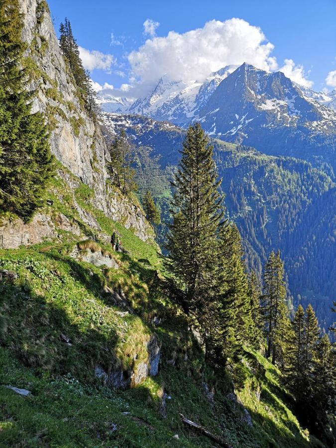 Le Cocon Du Catogne Proche Martigny Verbier - Netflix - Valettes エクステリア 写真