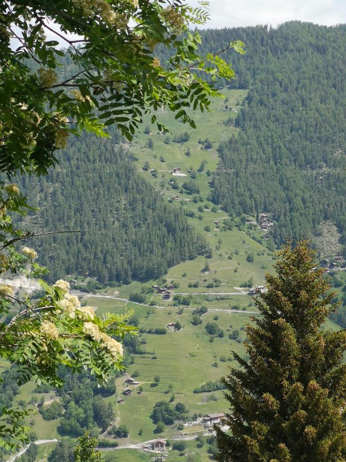 Le Cocon Du Catogne Proche Martigny Verbier - Netflix - Valettes エクステリア 写真